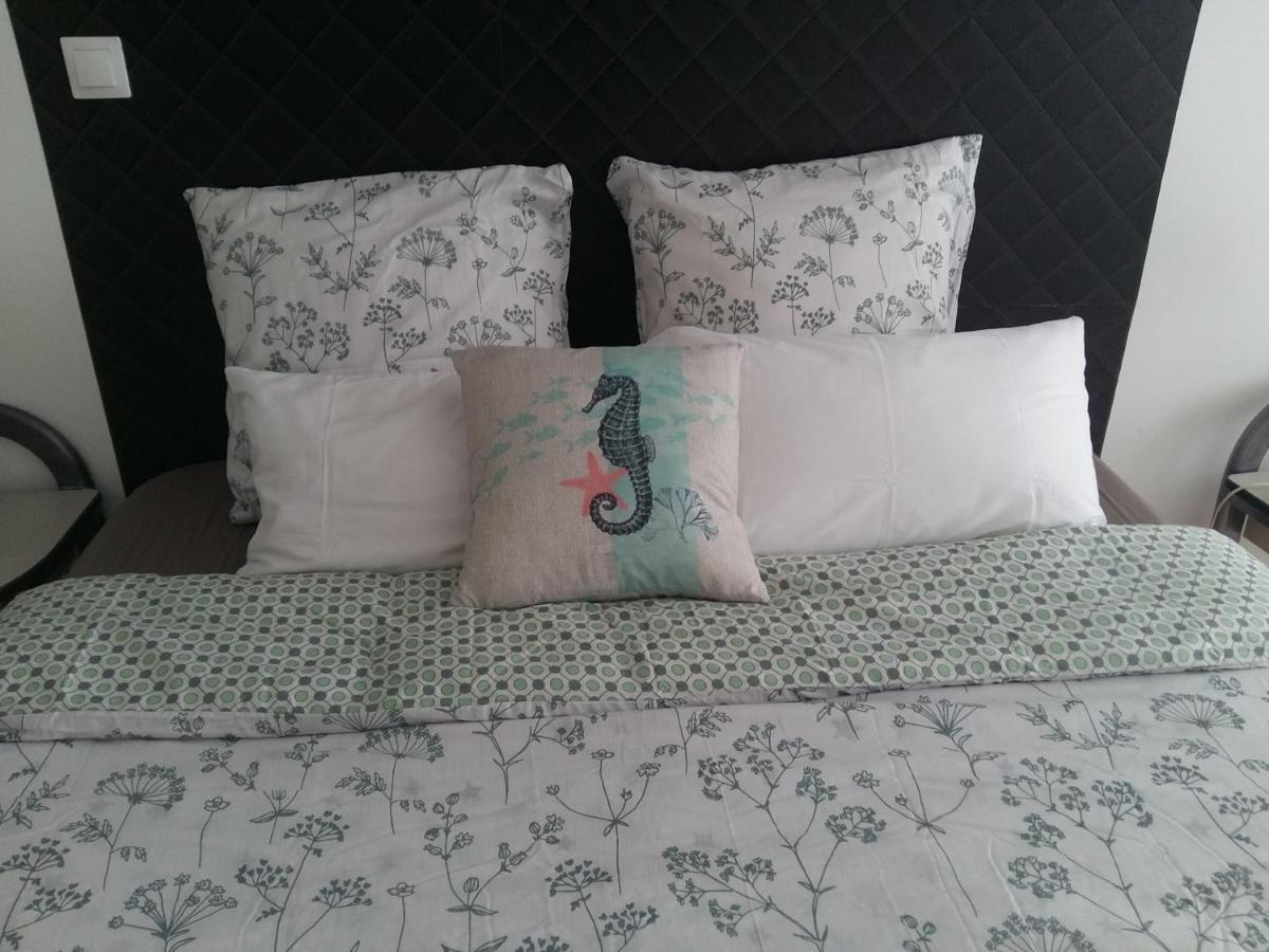 Apartament Blanc De Tardy Saint-Etienne  Zewnętrze zdjęcie